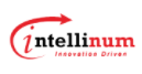 Intellinum Solutions India Pvt Ltd Logo